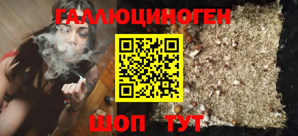 Галлюциногенные грибы Psilocybe  Вход с VPN  Магнитогорск 